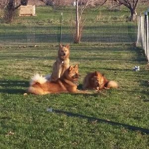 Meet your Posher, Lori